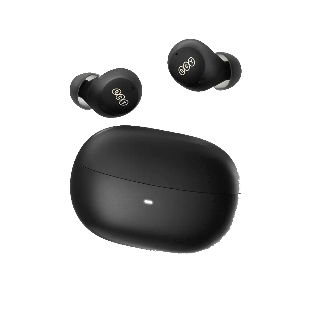 Noise Cancelling Earbuds